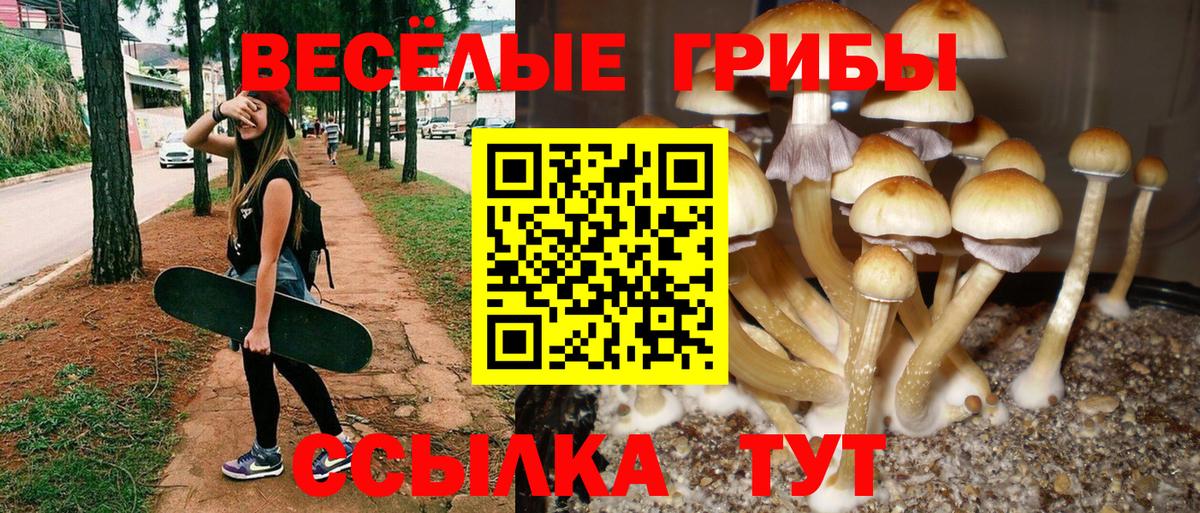 Псилоцибиновые грибы прущие грибы  Вход с VPN  Якутск  Галлюциногенные грибы мухоморы 