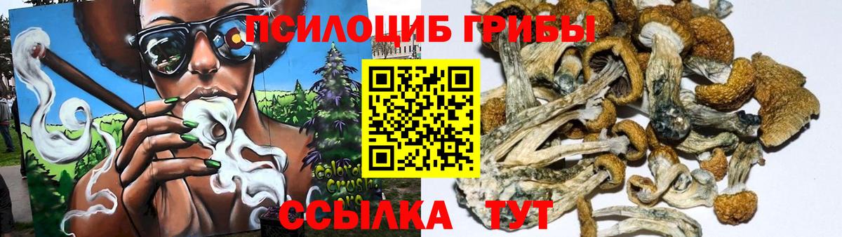 Галлюциногенные грибы прущие грибы Якутск